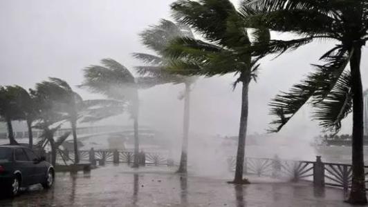 8月臺(tái)風(fēng)雨即將來(lái)，除濕機(jī)還得用起來(lái)