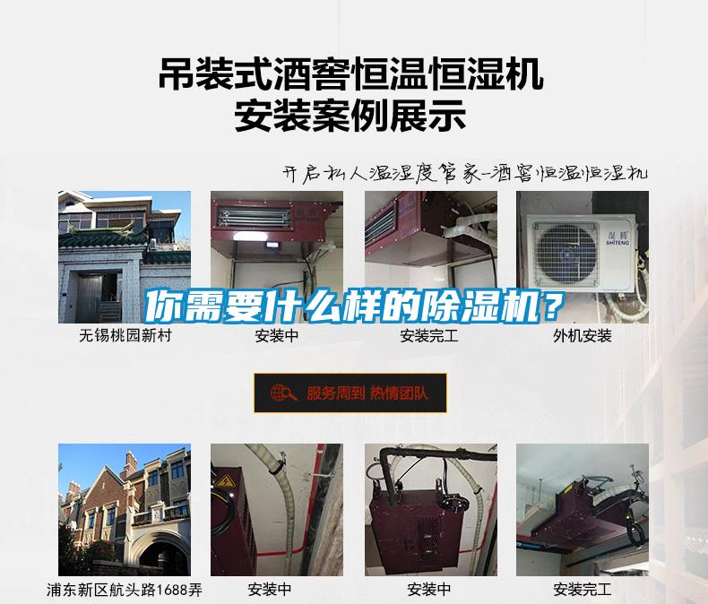 你需要什么樣的除濕機？