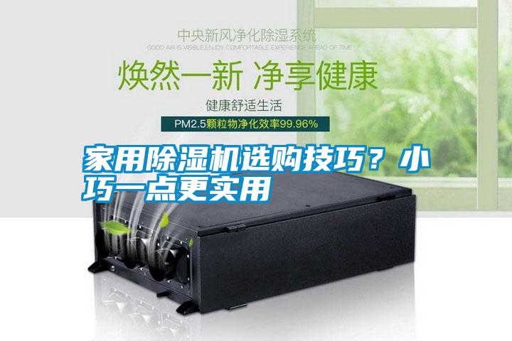 家用除濕機(jī)選購(gòu)技巧？小巧一點(diǎn)更實(shí)用
