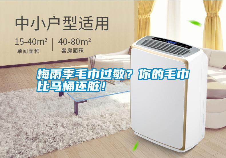 梅雨季毛巾過(guò)敏？你的毛巾比馬桶還臟！