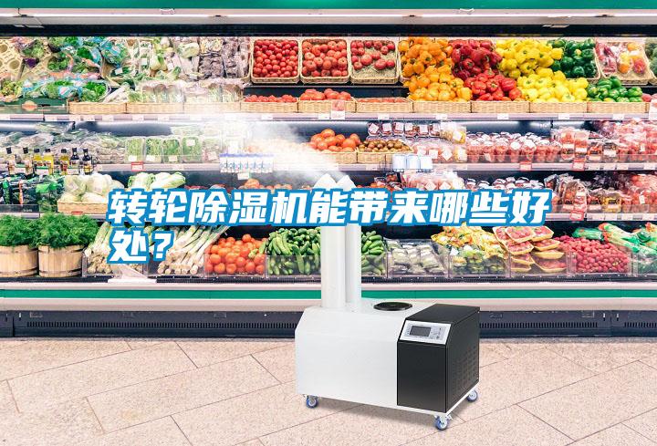 轉輪除濕機能帶來哪些好處？