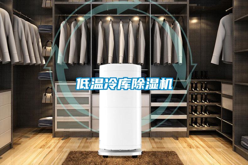 低溫冷庫除濕機(jī)