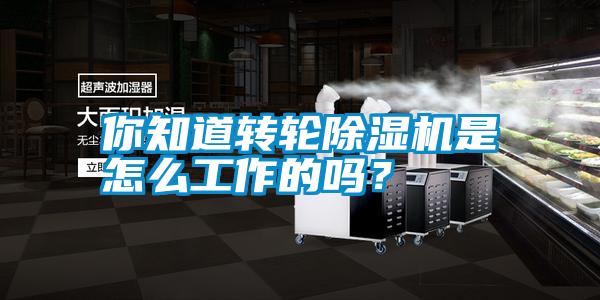你知道轉(zhuǎn)輪除濕機(jī)是怎么工作的嗎？