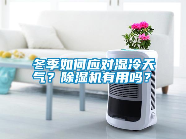 冬季如何應(yīng)對濕冷天氣？除濕機(jī)有用嗎？