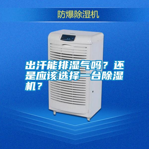 出汗能排濕氣嗎？還是應(yīng)該選擇一臺除濕機？