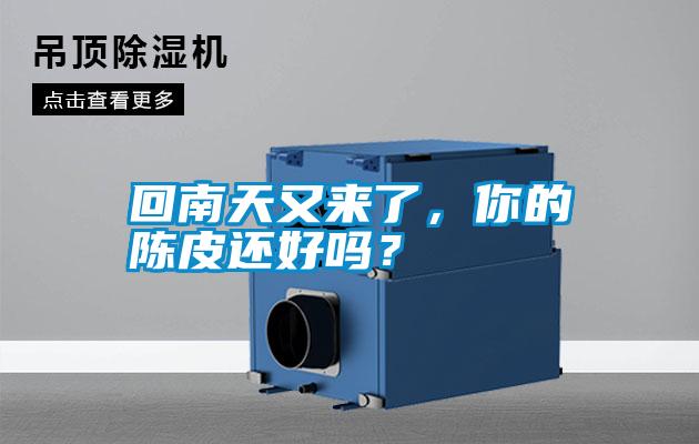 回南天又來了，你的陳皮還好嗎？
