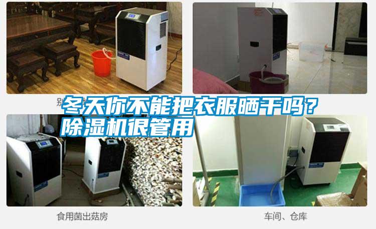 冬天你不能把衣服曬干嗎？除濕機很管用