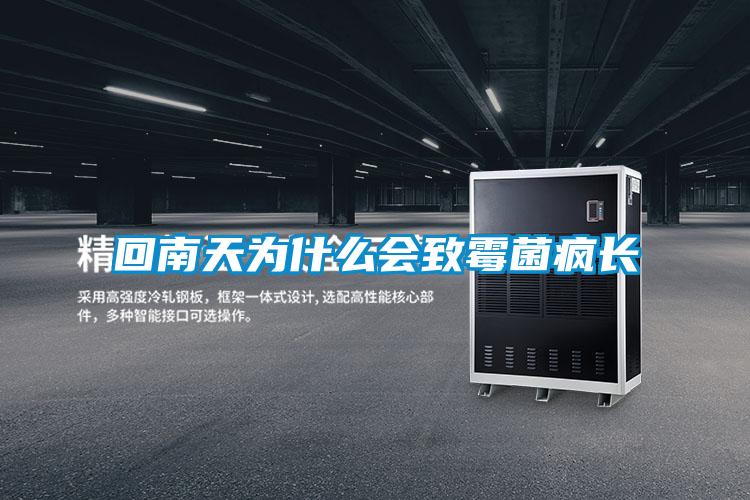 回南天為什么會(huì)致霉菌瘋長