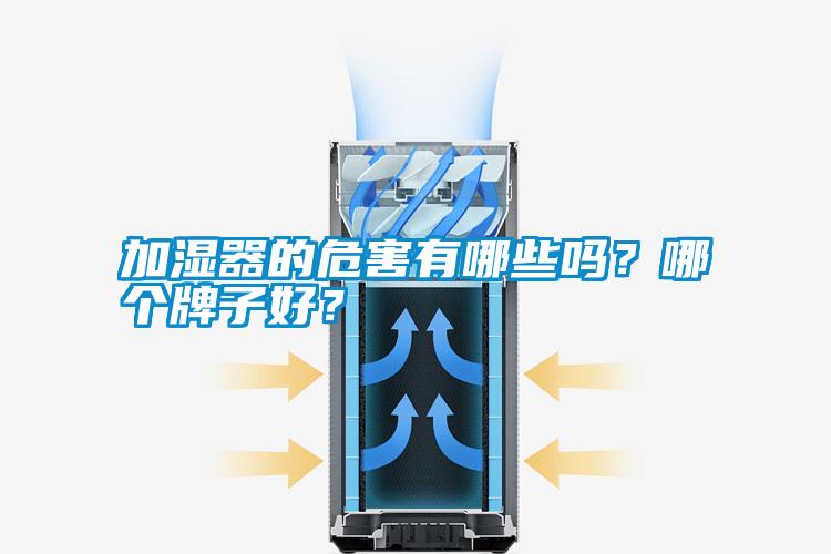 加濕器的危害有哪些嗎？哪個(gè)牌子好？