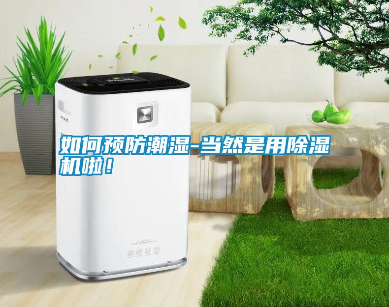 如何預(yù)防潮濕-當(dāng)然是用除濕機啦！