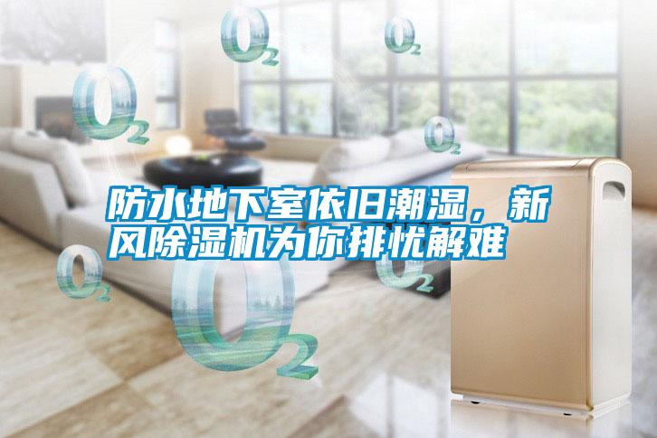防水地下室依舊潮濕，新風(fēng)除濕機(jī)為你排憂解難