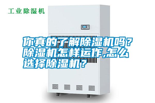 你真的了解除濕機(jī)嗎？除濕機(jī)怎樣運(yùn)作,怎么選擇除濕機(jī)？