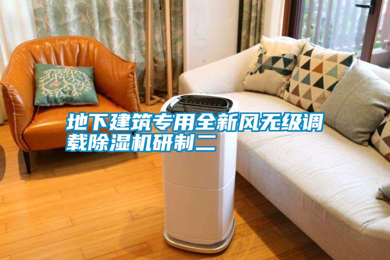 地下建筑專用全新風無級調(diào)載除濕機研制二