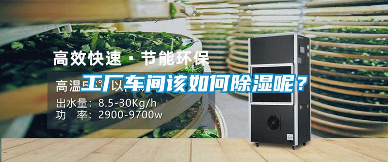 工廠車間該如何除濕呢？