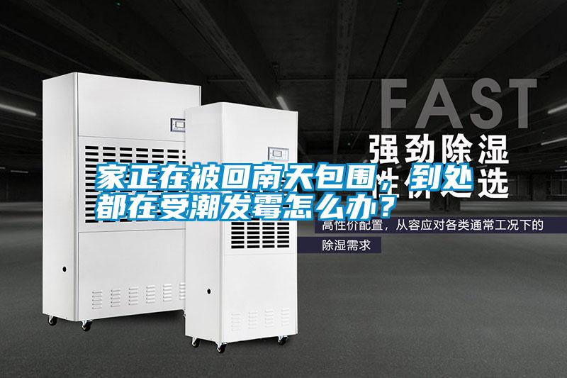 家正在被回南天包圍，到處都在受潮發(fā)霉怎么辦？