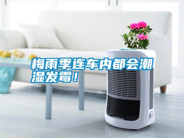 梅雨季連車內(nèi)都會(huì)潮濕發(fā)霉！