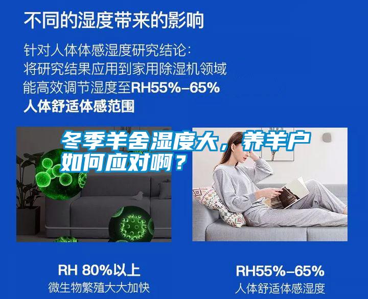 冬季羊舍濕度大，養(yǎng)羊戶如何應(yīng)對??？