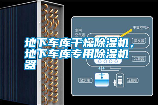 地下車(chē)庫(kù)干燥除濕機(jī),地下車(chē)庫(kù)專(zhuān)用除濕機(jī)器