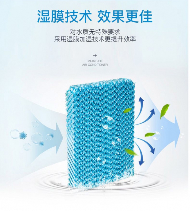 潮濕季，食材／貴重物品該防潮防霉防蟲，你不知道的秘密！