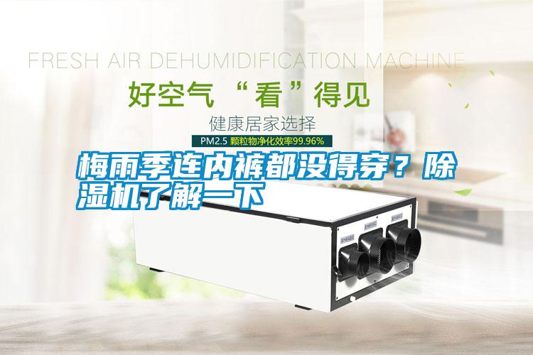 梅雨季連內(nèi)褲都沒(méi)得穿？除濕機(jī)了解一下