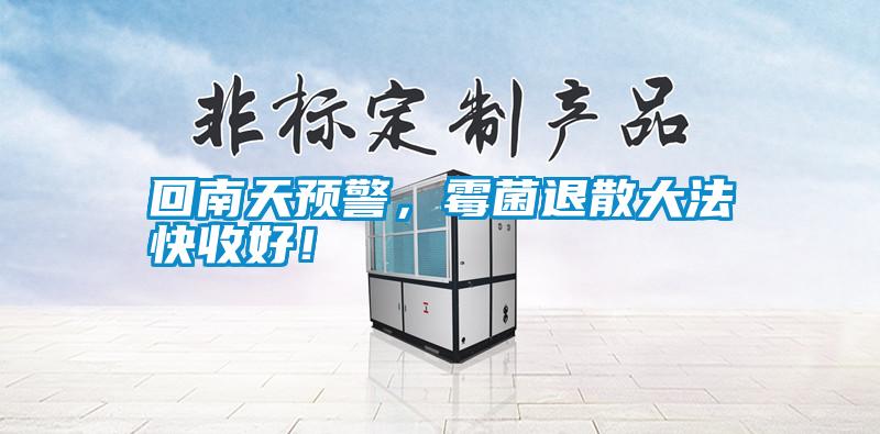 回南天預警，霉菌退散大法快收好！