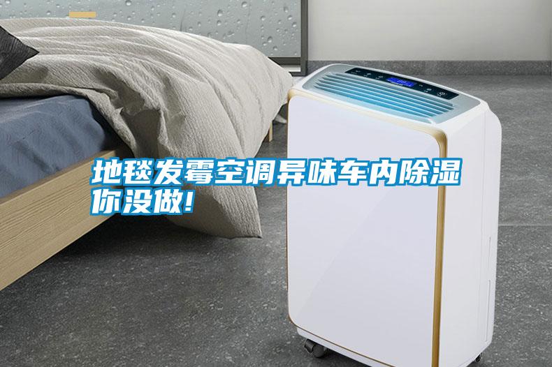 地毯發(fā)霉空調異味車內除濕你沒做!