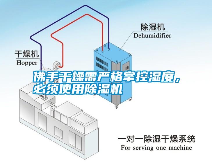佛手干燥需嚴(yán)格掌控濕度，必須使用除濕機(jī)