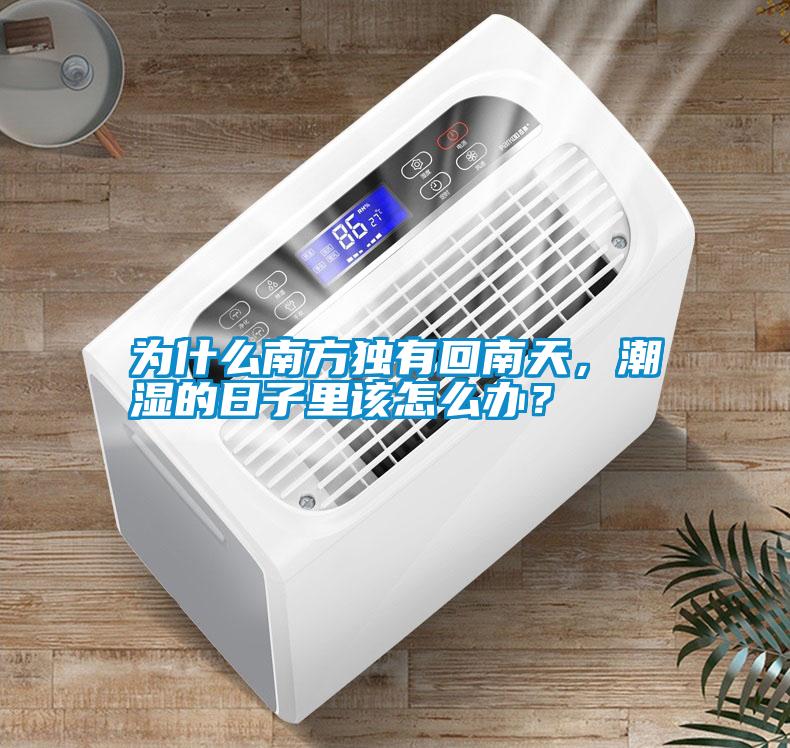 為什么南方獨(dú)有回南天，潮濕的日子里該怎么辦？