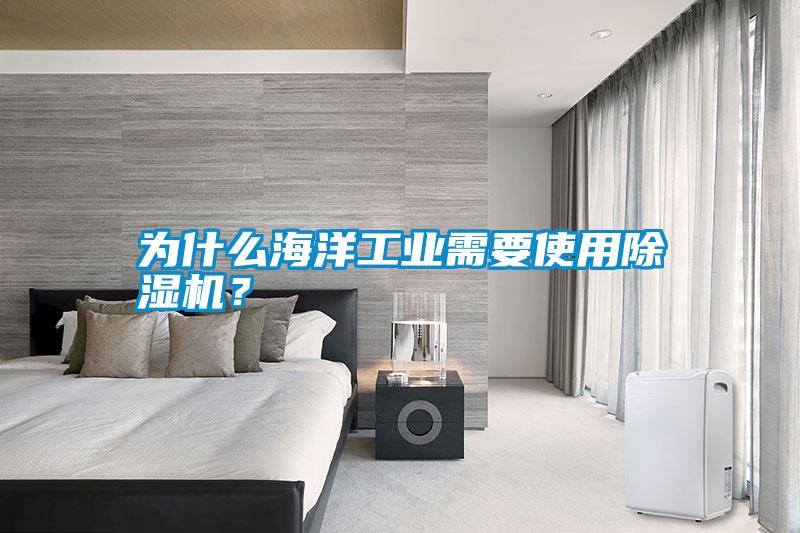 為什么海洋工業(yè)需要使用除濕機(jī)？