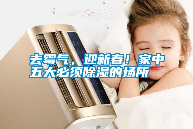 去霉氣，迎新春！家中五大必須除濕的場(chǎng)所