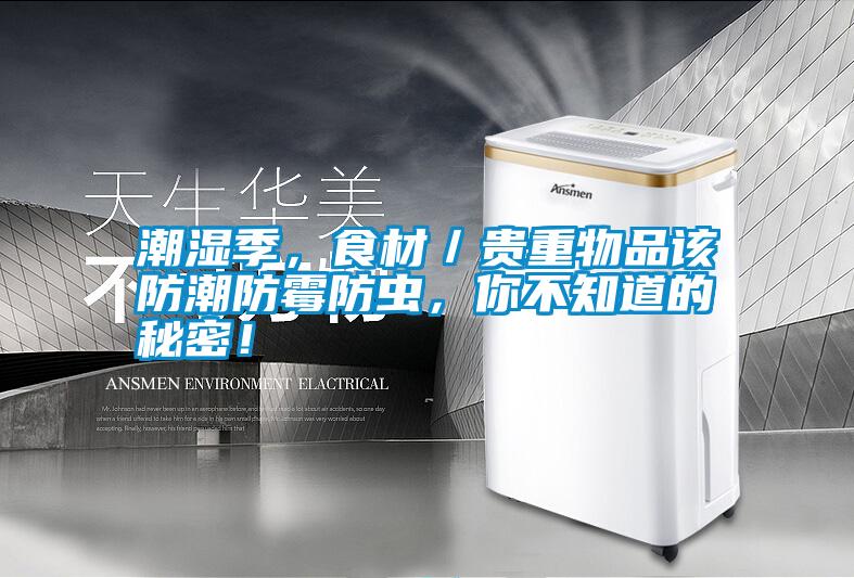 潮濕季，食材／貴重物品該防潮防霉防蟲，你不知道的秘密！