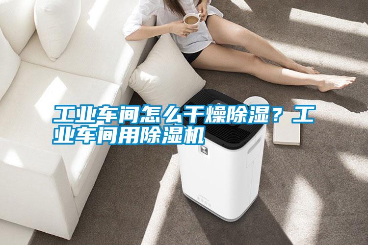 工業(yè)車間怎么干燥除濕？工業(yè)車間用除濕機