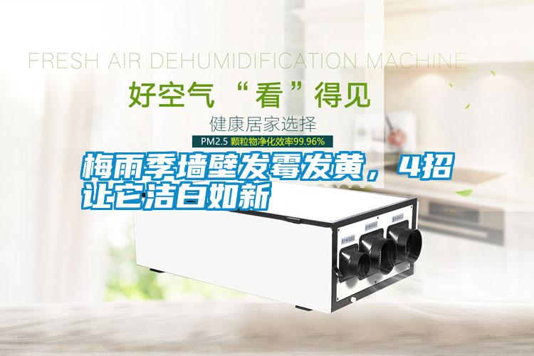 梅雨季墻壁發(fā)霉發(fā)黃，4招讓它潔白如新