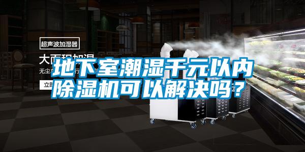 地下室潮濕千元以內(nèi)除濕機(jī)可以解決嗎？