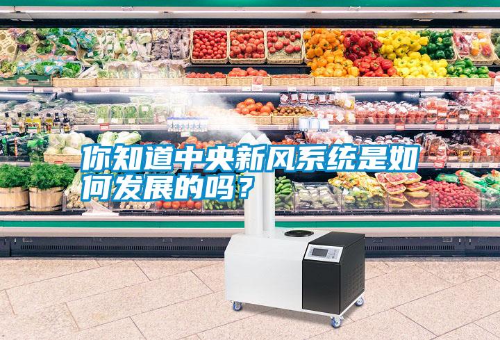 你知道中央新風(fēng)系統(tǒng)是如何發(fā)展的嗎？