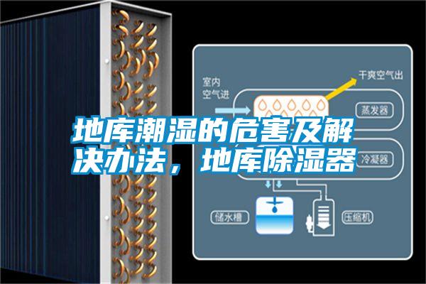 地庫潮濕的危害及解決辦法，地庫除濕器
