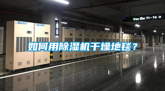 如何用除濕機干燥地毯？