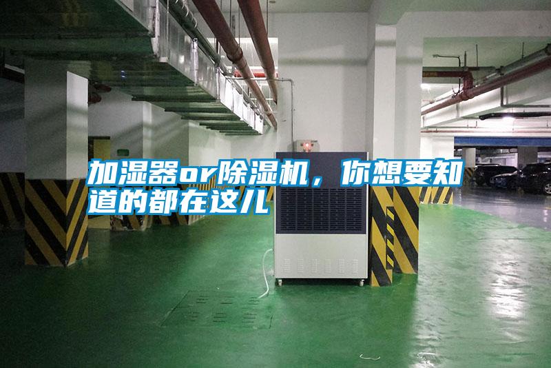 加濕器or除濕機(jī)，你想要知道的都在這兒