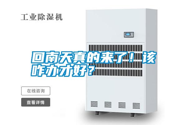 回南天真的來了！該咋辦才好？