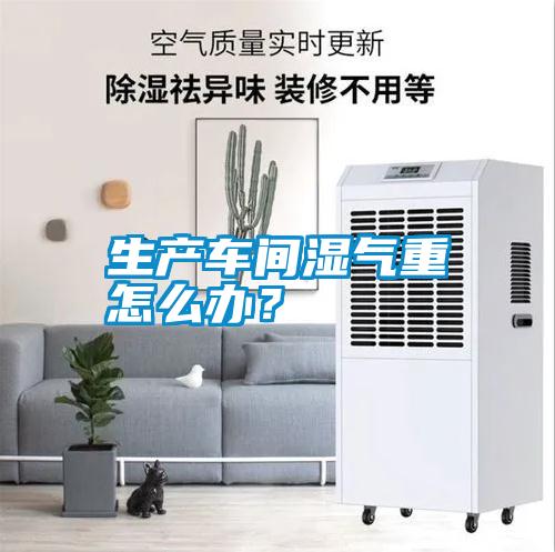 生產(chǎn)車間濕氣重怎么辦？