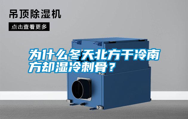 為什么冬天北方干冷南方卻濕冷刺骨？