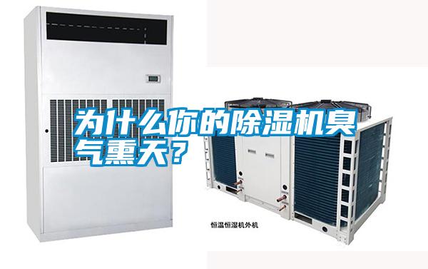 為什么你的除濕機臭氣熏天？