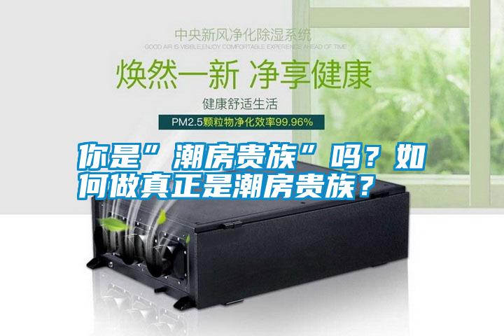 你是”潮房貴族”嗎？如何做真正是潮房貴族？