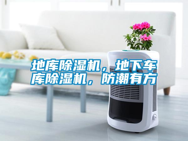 地庫除濕機，地下車庫除濕機，防潮有方
