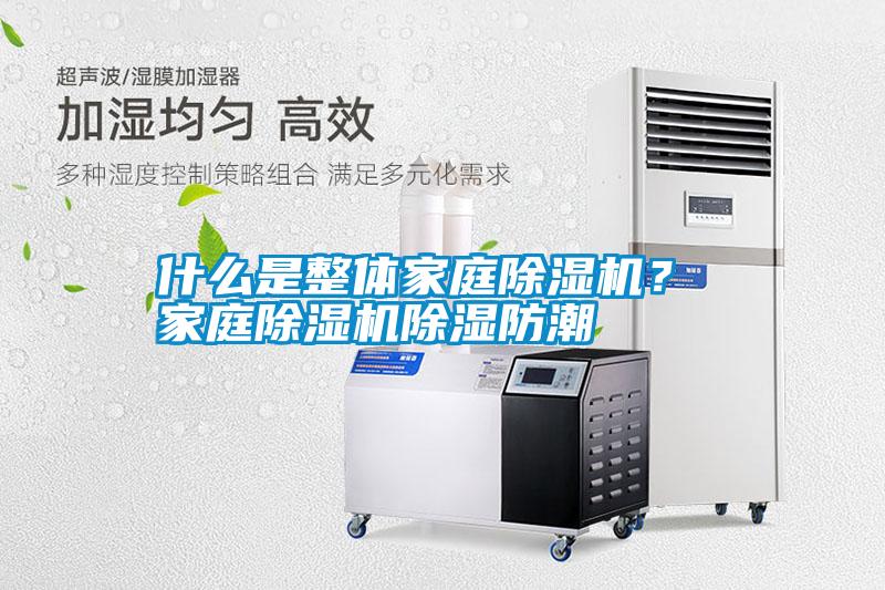 什么是整體家庭除濕機(jī)？ 家庭除濕機(jī)除濕防潮