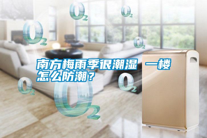 南方梅雨季很潮濕 一樓怎么防潮？