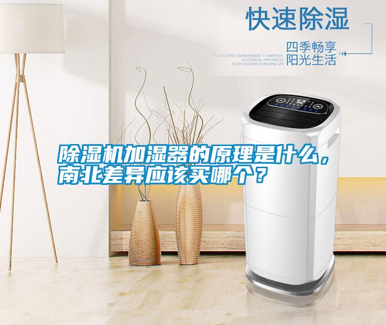 除濕機(jī)加濕器的原理是什么，南北差異應(yīng)該買哪個(gè)？
