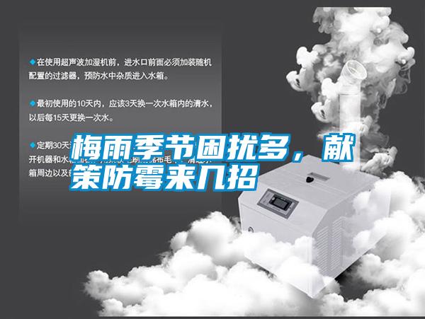梅雨季節(jié)困擾多，獻(xiàn)策防霉來(lái)幾招