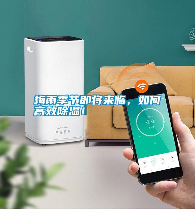 梅雨季節(jié)即將來臨，如何高效除濕！