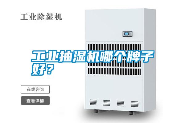 工業(yè)抽濕機(jī)哪個(gè)牌子好？